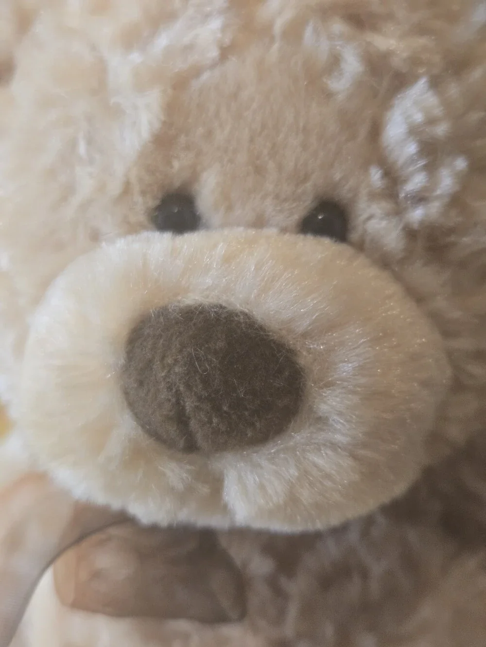 Gund Myrtle Teddy Bear Plush Honey Beige Swirl Fur Ribbon #44713 Stuffed Animal